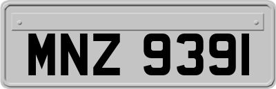 MNZ9391