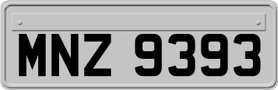 MNZ9393