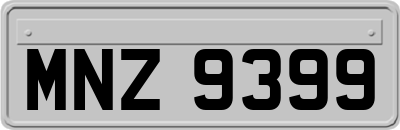 MNZ9399