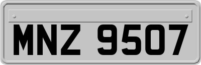 MNZ9507