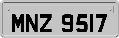 MNZ9517