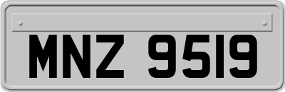 MNZ9519