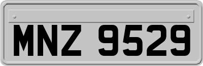 MNZ9529