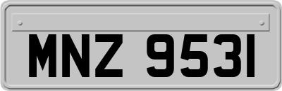 MNZ9531