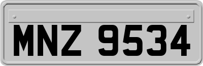MNZ9534