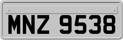 MNZ9538