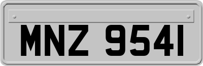 MNZ9541