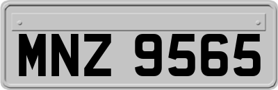 MNZ9565