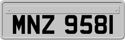 MNZ9581