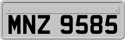 MNZ9585