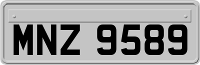 MNZ9589