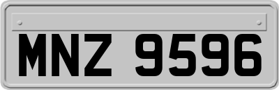 MNZ9596