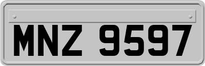 MNZ9597