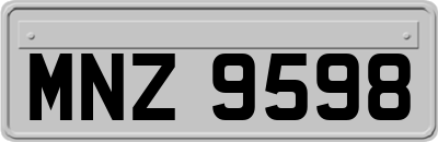 MNZ9598
