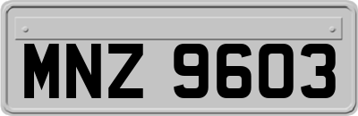 MNZ9603