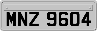 MNZ9604