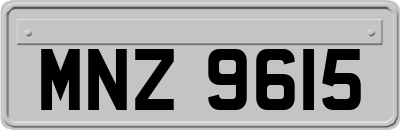 MNZ9615