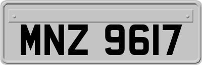 MNZ9617