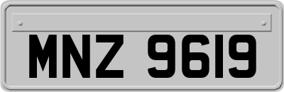 MNZ9619