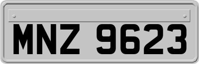MNZ9623