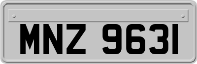 MNZ9631