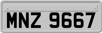MNZ9667