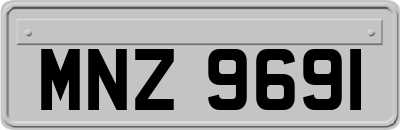 MNZ9691