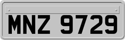MNZ9729