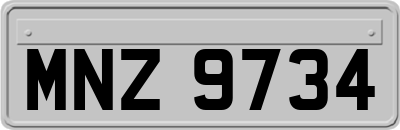 MNZ9734