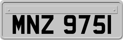 MNZ9751