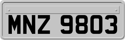 MNZ9803