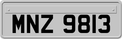 MNZ9813