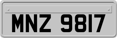 MNZ9817