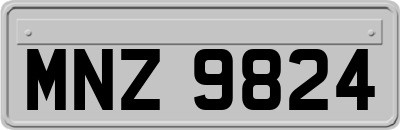 MNZ9824