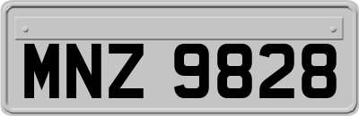 MNZ9828
