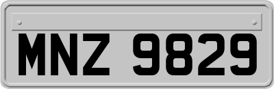 MNZ9829