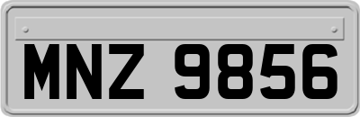 MNZ9856