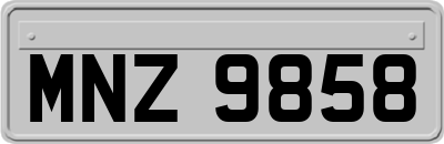 MNZ9858