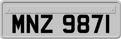 MNZ9871