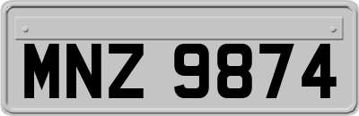 MNZ9874