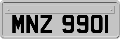 MNZ9901