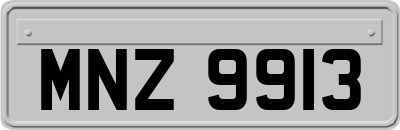MNZ9913