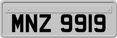 MNZ9919