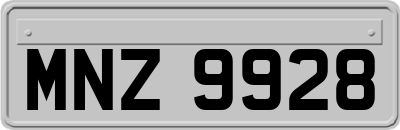 MNZ9928