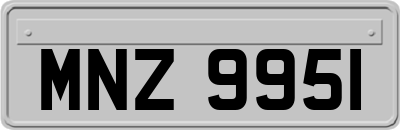MNZ9951