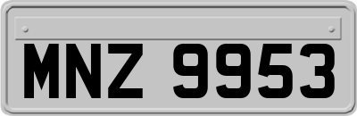 MNZ9953