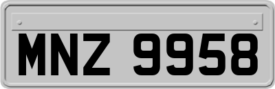 MNZ9958