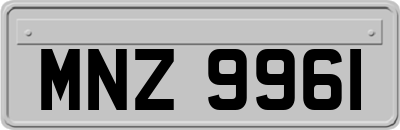 MNZ9961