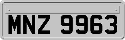 MNZ9963