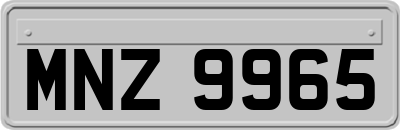MNZ9965